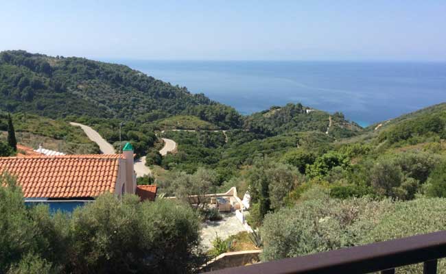 Olive Tree house view