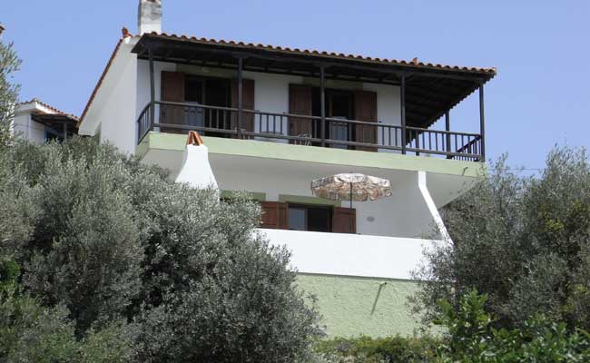 Olive Tree House