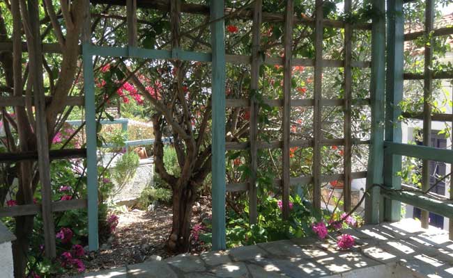 lower yard to garden